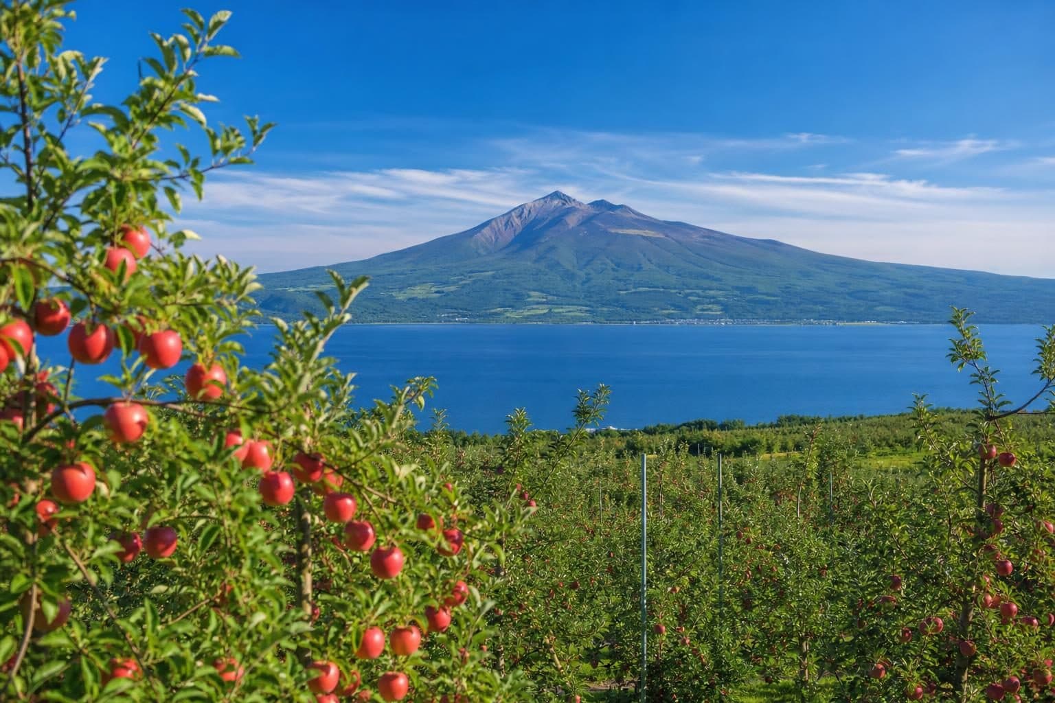青森県の風景