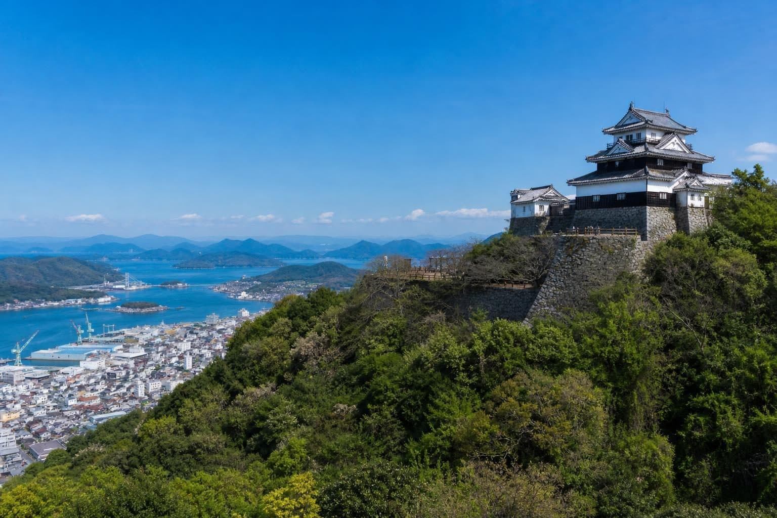 愛媛県移住支援事業
