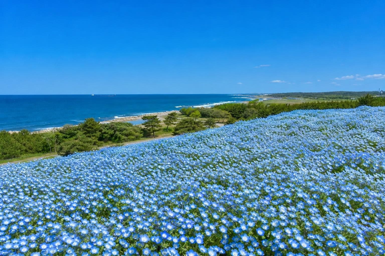 茨城県の風景