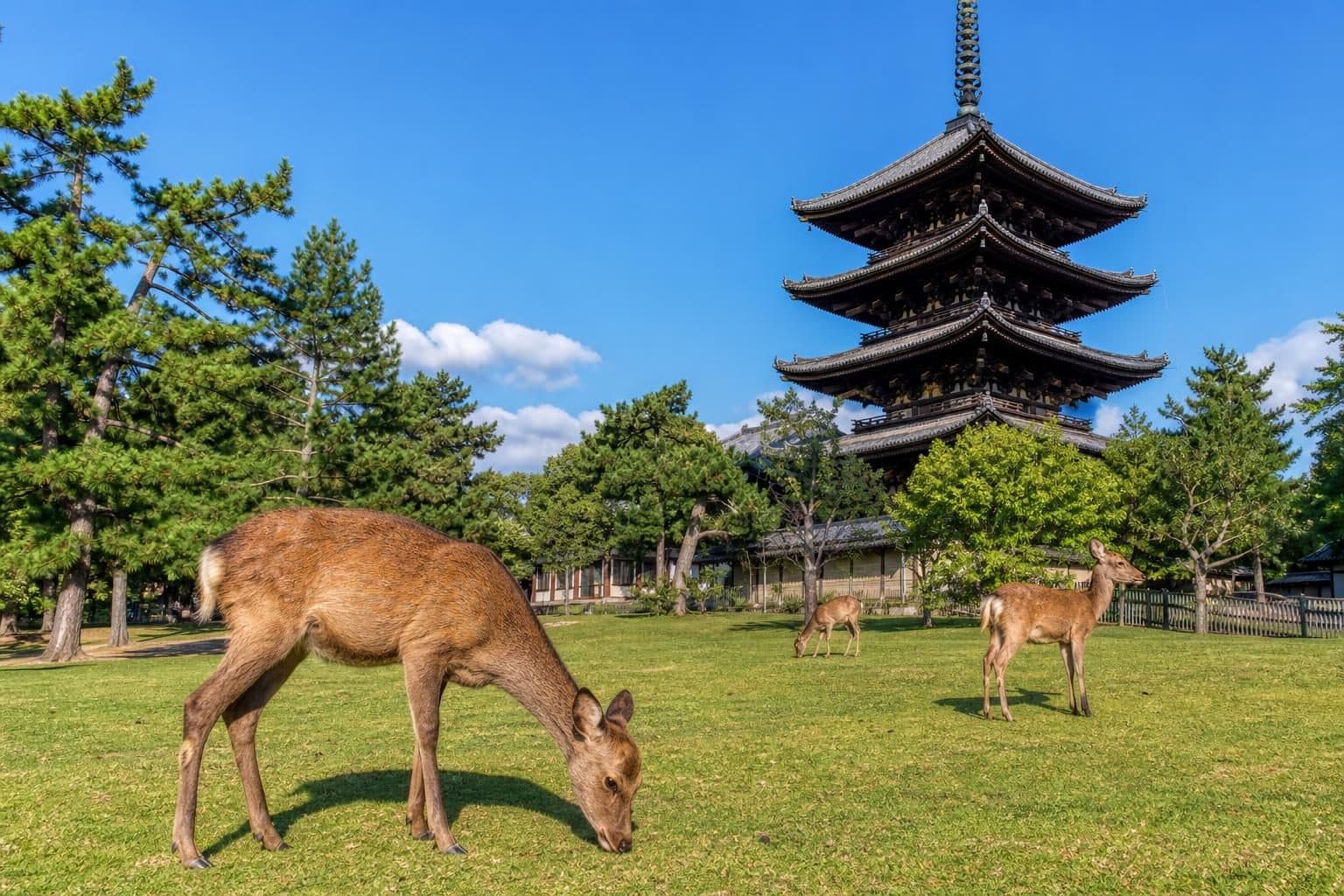 奈良県の風景