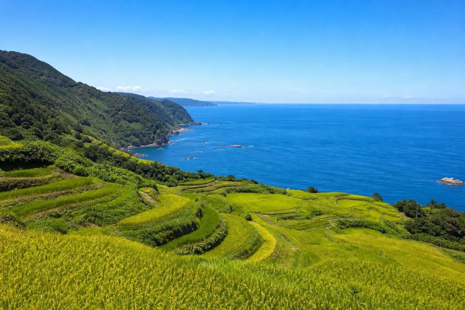 新潟県の風景
