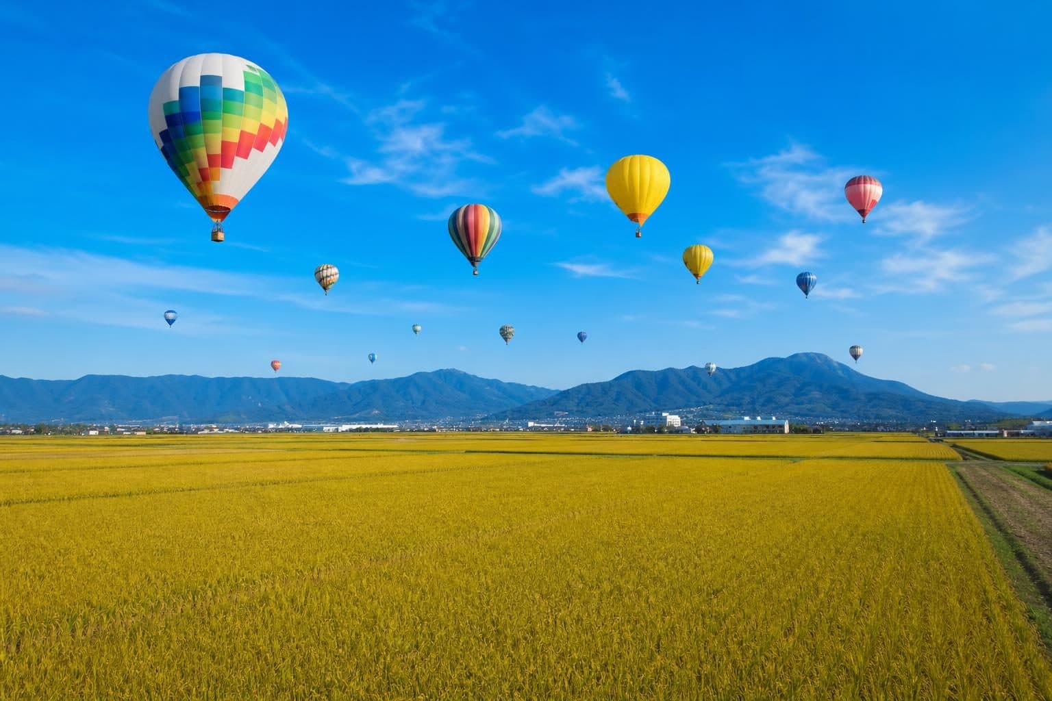 サガスマイル(佐賀県移住情報ポータルサイト)