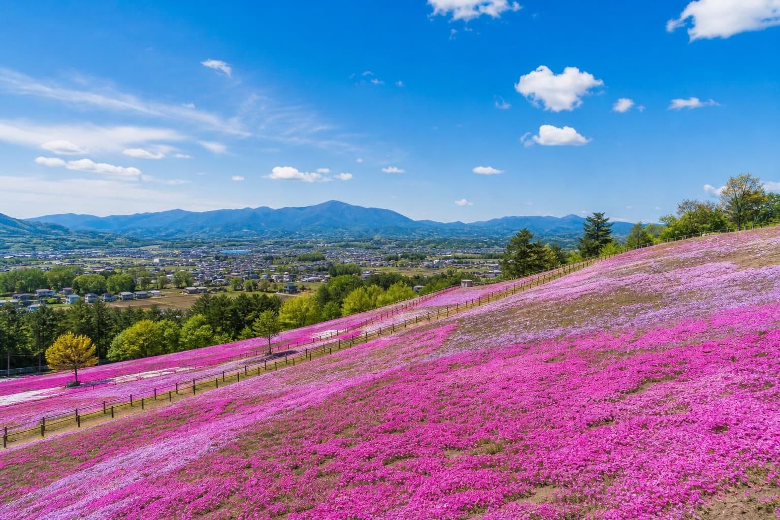 埼玉県の風景