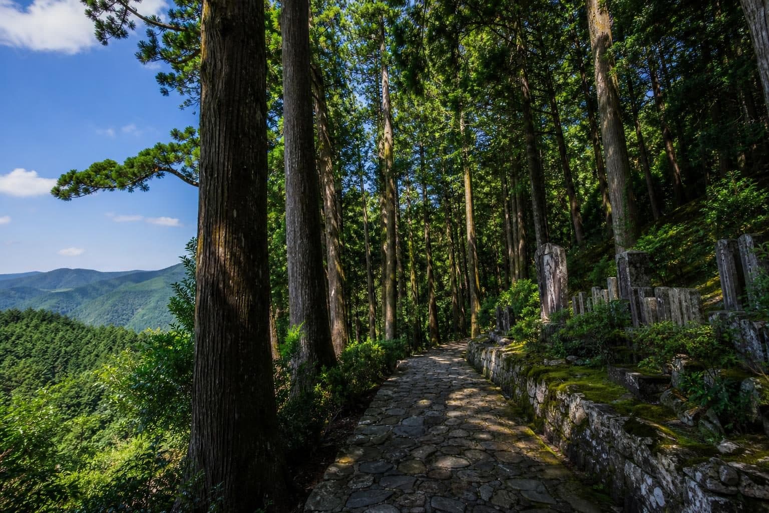 和歌山県移住支援事業(移住支援金)