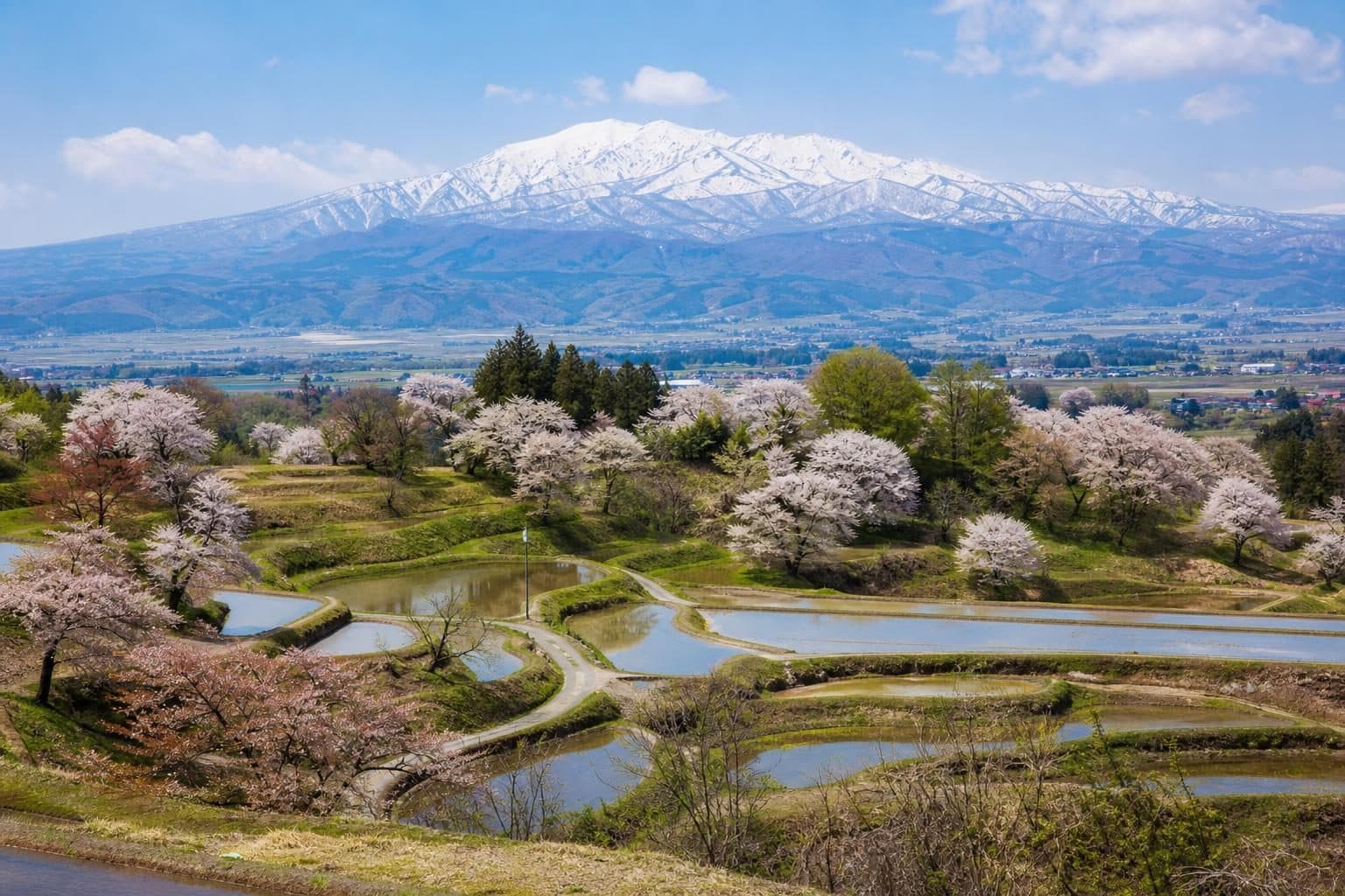 山形県若者世帯・子育て世帯移住支援金