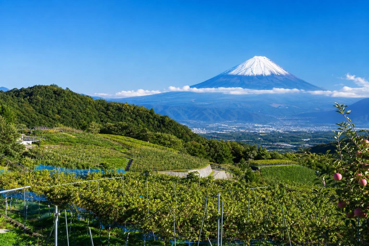 山梨県の風景