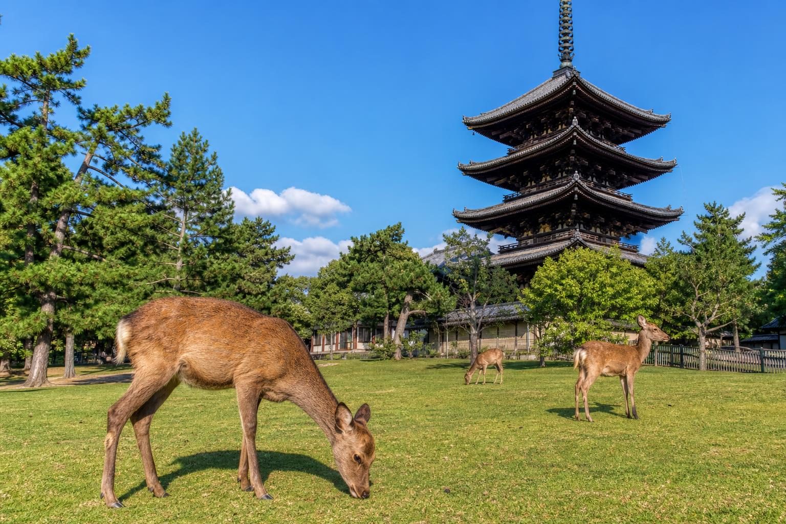 奈良県（地域イメージ・AI生成を含む）
